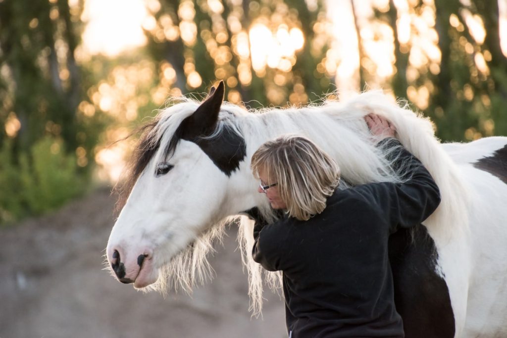 femme caressant un cheval