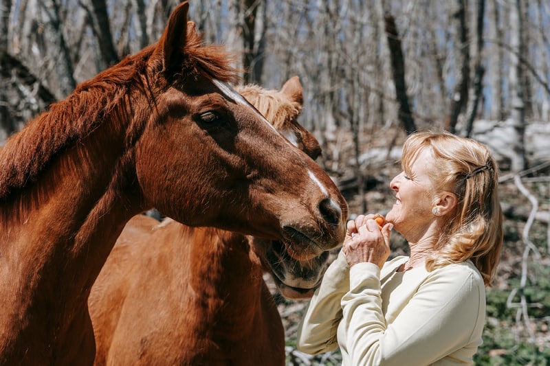 femme devant un cheval avec une carotte